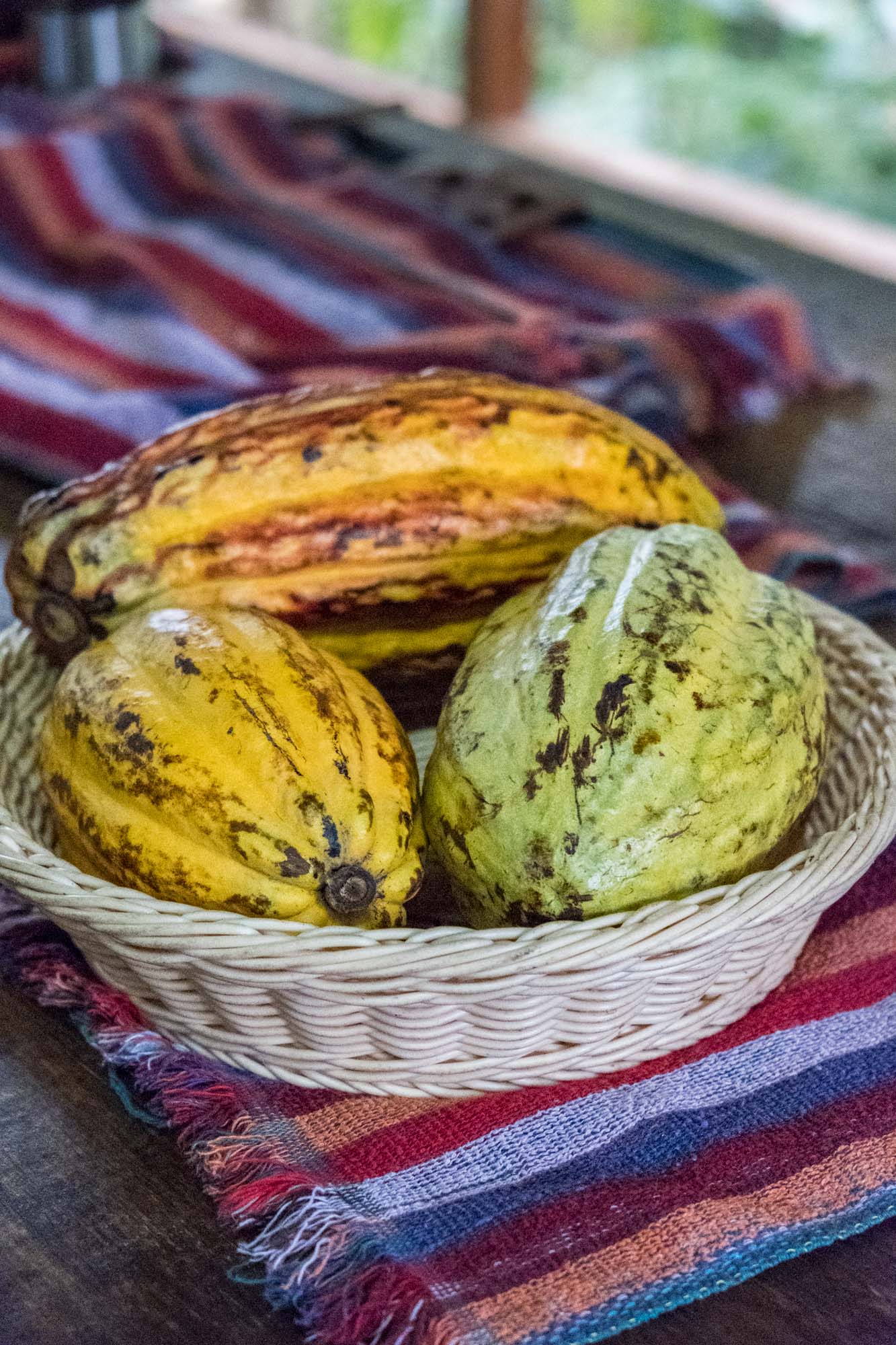 Sarapiqui